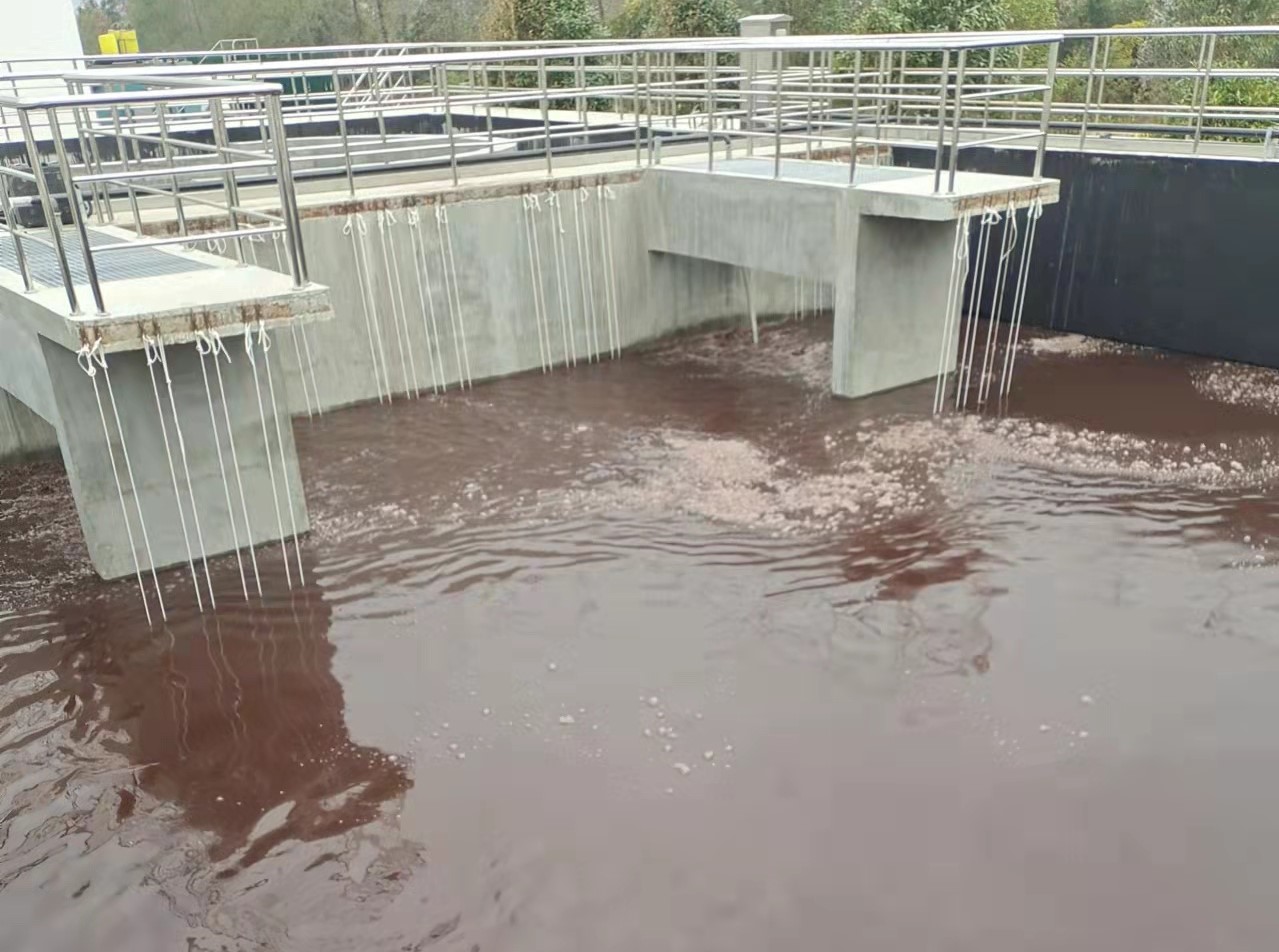 微信圖片_20211117153927.jpg 微信圖片_20211117153927.jpg